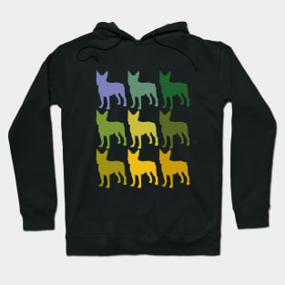 Boston Terrier Dogs in Rainbow Colors Hoodie